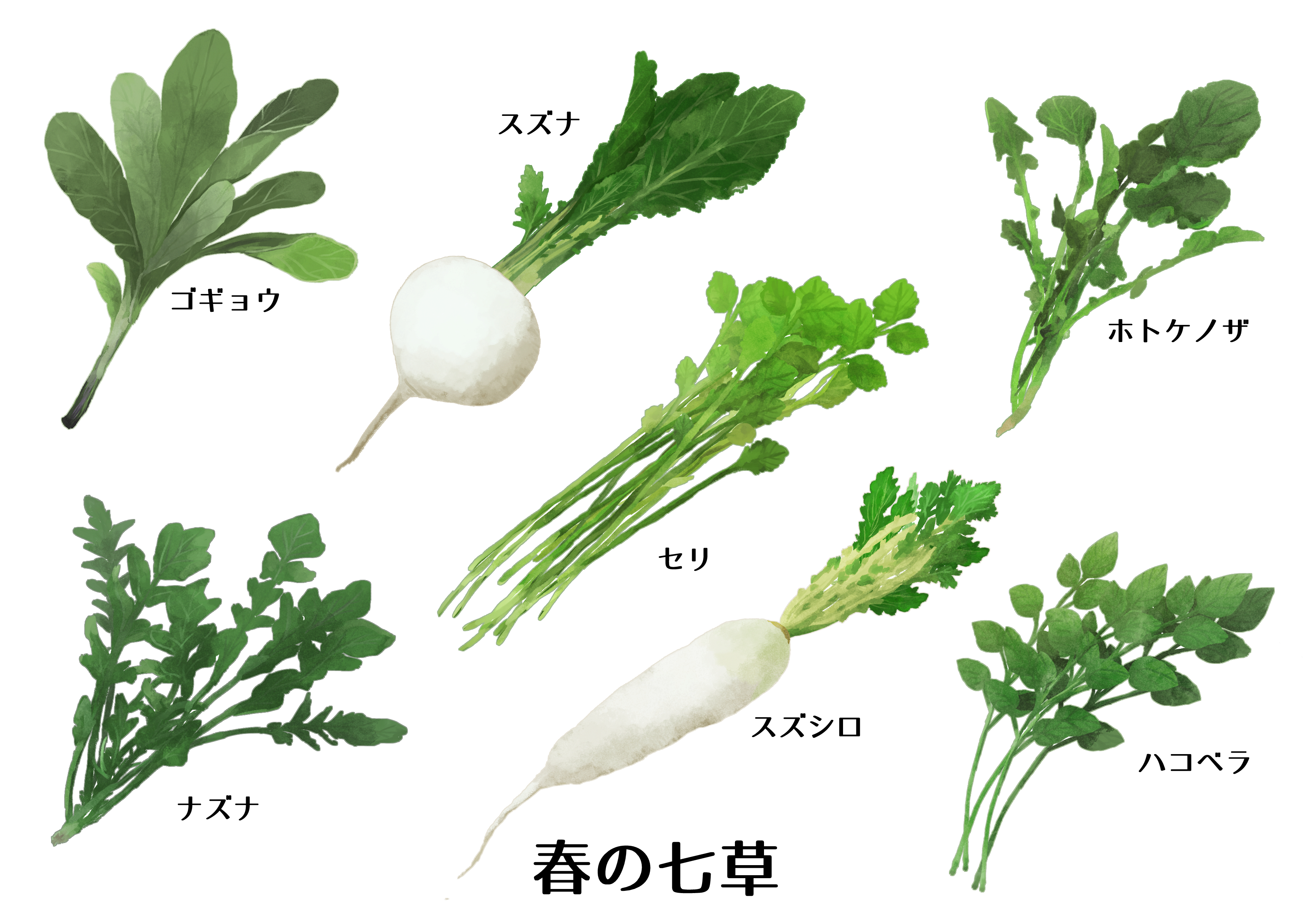 七草かゆ 鏡開き で健康な一年を